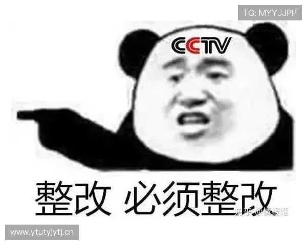 从追赶到突围中国男网破局之路与时代价值的全面开启关键时刻